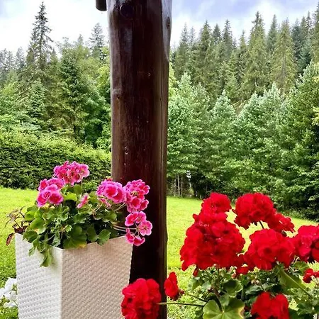 Lesny Casa vacanze *