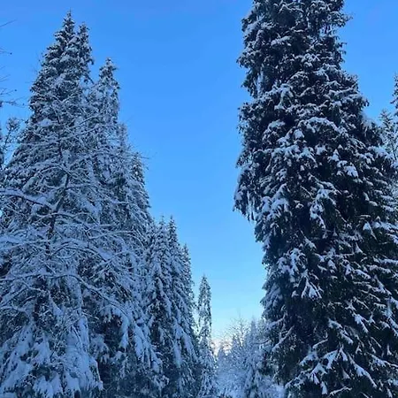 Lesny Casa vacanze Obidowa