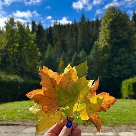 Lesny Casa vacanze *