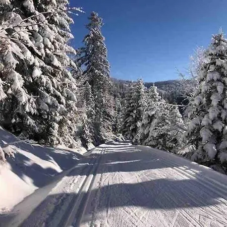 Casa vacanze Lesny Obidowa