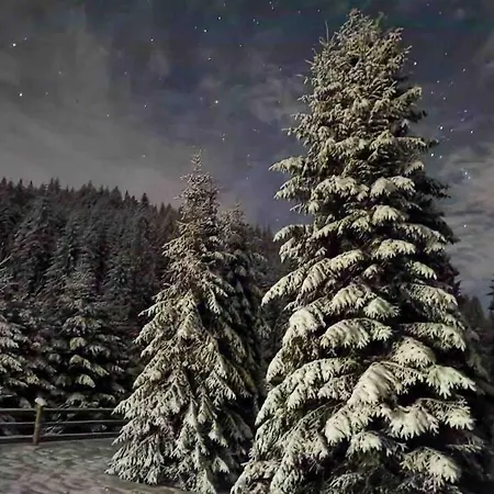 Lesny Holiday home *