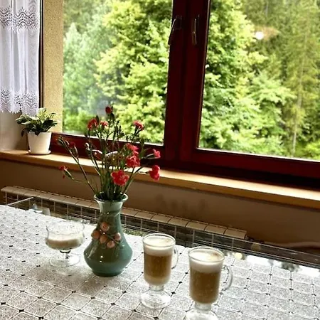 Lesny Holiday home